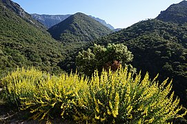 Sierra de Grazalema