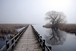 Thumbnail for Point Pelee National Park