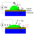 català