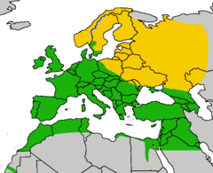 Distribución en Europa en verde, todo o ano; en amarelo, só no verán