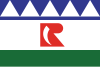 Flag of Rincon