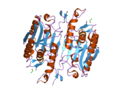 2h5j: Crystal structure of caspase-3 with inhibitor Ac-DMQD-Cho