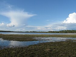 Järven etelärantaa itään päin katsottuna.