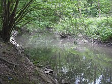 Photographie du Schiffwasser.