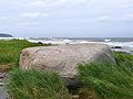 Image 28Erratics, boulders deposited by glaciers far from any existing glaciers, led geologists to the conclusion that climate had changed in the past. (from History of climate change science)