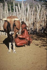 Dona himba treballant