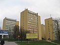 Universiteto bendrabučiai