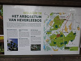 Heverleebos