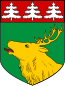 Blason de Jõhvi