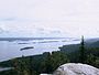 Koli