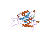 2cnl: CRYSTAL STRUCTURES OF CASPASE-3 IN COMPLEX WITH AZA-PEPTIDE EPOXIDE INHIBITORS.