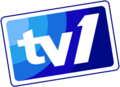 Logo TV1 versi keempat (4 Ogos 2004 - 31 Mac 2006)