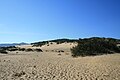 Dune di Piscinas