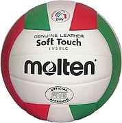 Bola de voleibol