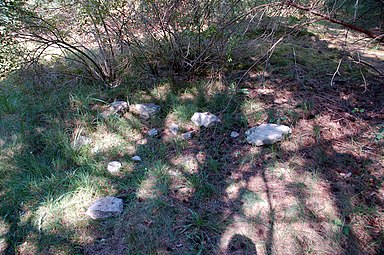 Restes de blocs de béton (provenant de bâtiments) épars (2009).