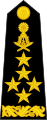 General of the army