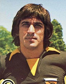 Fillol panini card.jpg