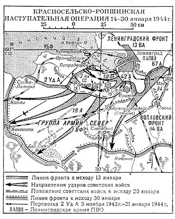 L'opération Tonnerre de Janvier également appelée opération Krasnoselsk-Ropshinsk du 14 au 30 janvier 1944.