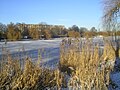 De Stadtsee, tijdens een strenge winter