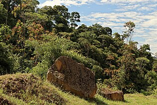 Vulkanfels und Vegetation