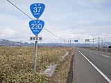 Highway signs along Japan National Routes 37 and 230.