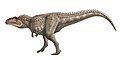 Giganotosaurus ------ Original by DiBgd