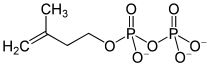 Skeletal formula of IPP