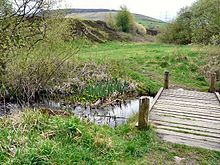 Looking down a grassy valley with a wooden bridge over a small stream in the foreground.