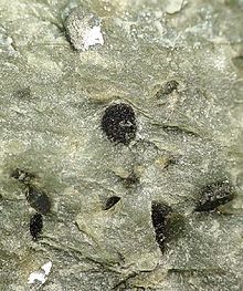 Ottrelite-mrz120b.jpg