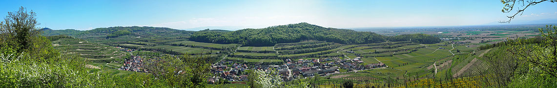 Panorama des Dorfes Achkarren im Frühling, von der Spitze des Schloßberges aus gesehen (das Panorama hat eine besonders hohe Auflösung – darauf klicken!)