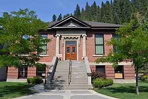 Wallace Carnegie Library