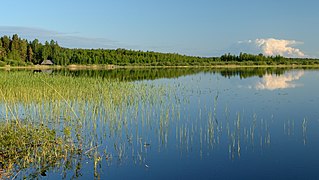 Lac Kaiu