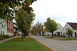 Road in Güterglück, October 2010