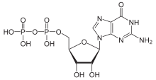 Guanosindiphosphat protoniert.svg