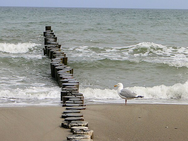 Beach in Heiligendamm