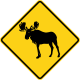 U.S. moose area.