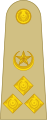 Insignia of one-star Brigadier Pakistan