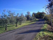 Strada Salisano novembre 2008.JPG