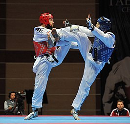 Taekwondo