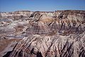 Blue Mesa al Desert