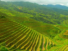 Longsheng rice terrace