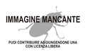 Miniatura della versione delle 14:29, 20 nov 2012