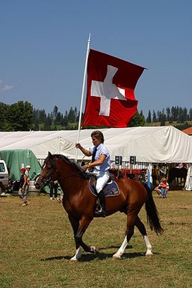 Image illustrative de l’article Cheval en Suisse