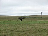 Rita Blanca National Grassland