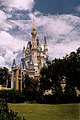 The Magic Kingdom