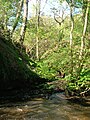 The Cowlinn Burn from Clonbeith joining the Lugton Water at Montgreenan Castle