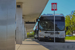 Two stopped buses, seen from the front