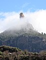 O Roque Nublo cuberto de bruma.