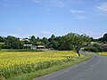 Hameau de Cônac