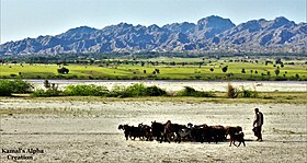 Lakki Marwat